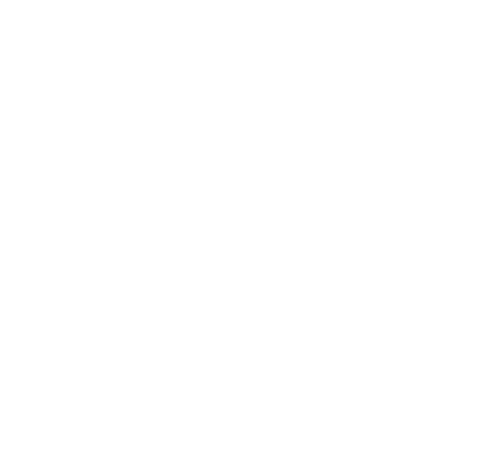 LOGO HIPCOM GROUP-blanc